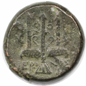 AE 274 - 216 v. Chr revers