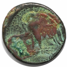 AE 27 285-246 v. Chr revers