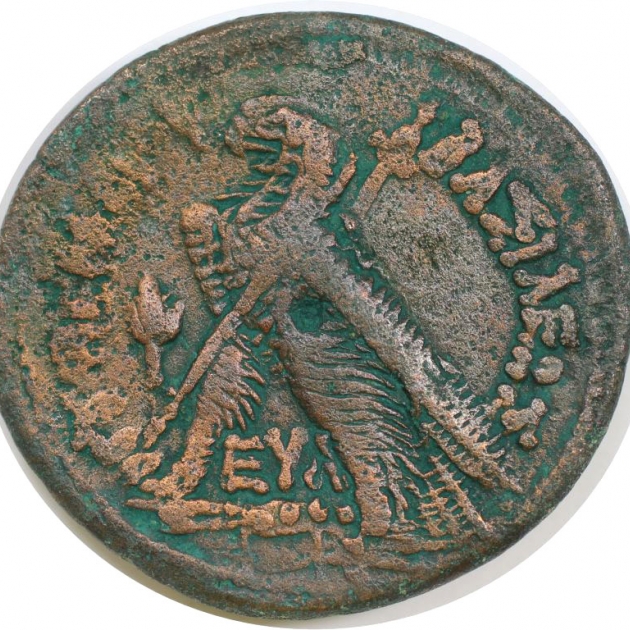 AE 246 - 222 v. Chr revers