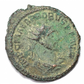 Antoninianus 276 - 282 n. Chr avers